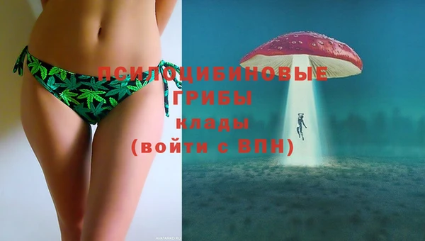 jwh Алзамай