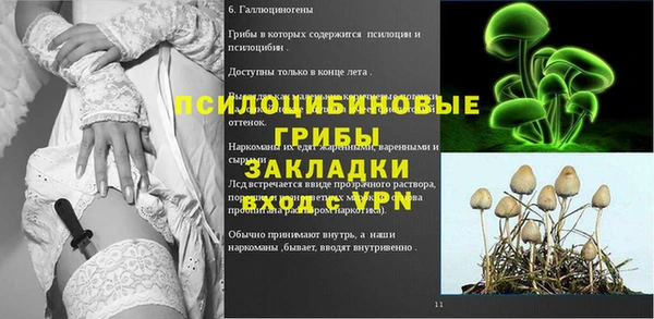 jwh Алзамай