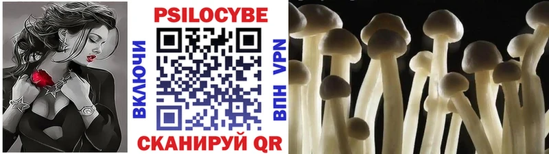 Псилоцибиновые грибы мицелий цена наркотик Печоры